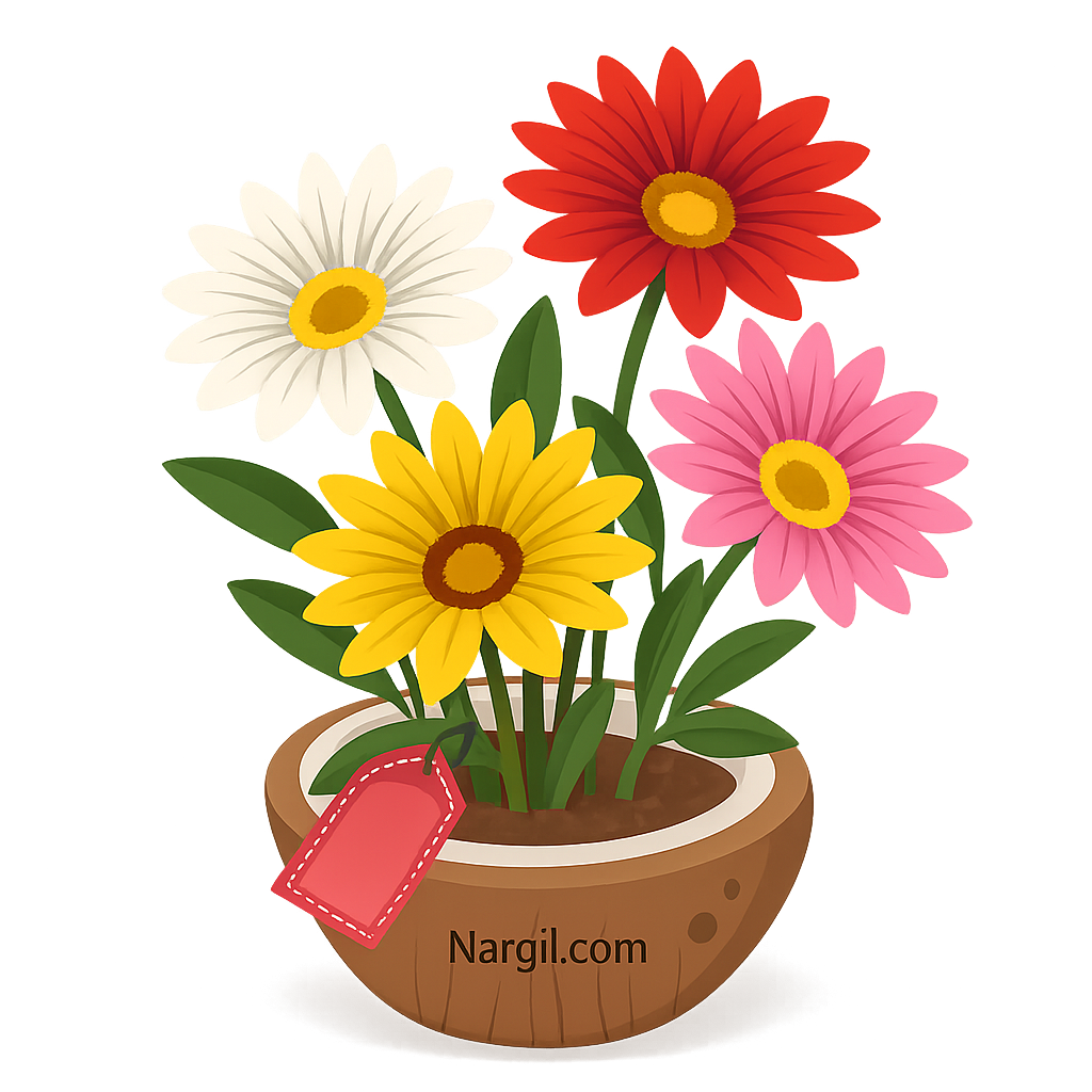  Nargil - treasure flower